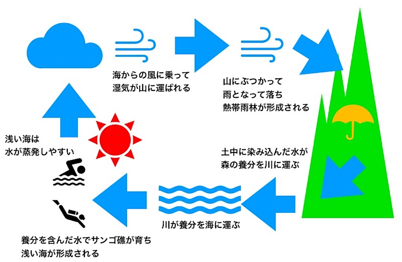 ケアンズ　雨季　